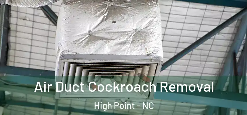 Air Duct Cockroach Removal High Point - NC