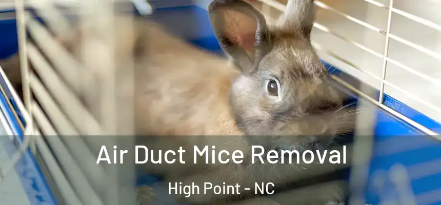  Air Duct Mice Removal High Point - NC