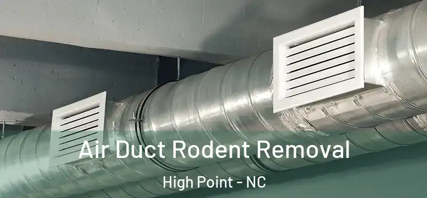  Air Duct Rodent Removal High Point - NC