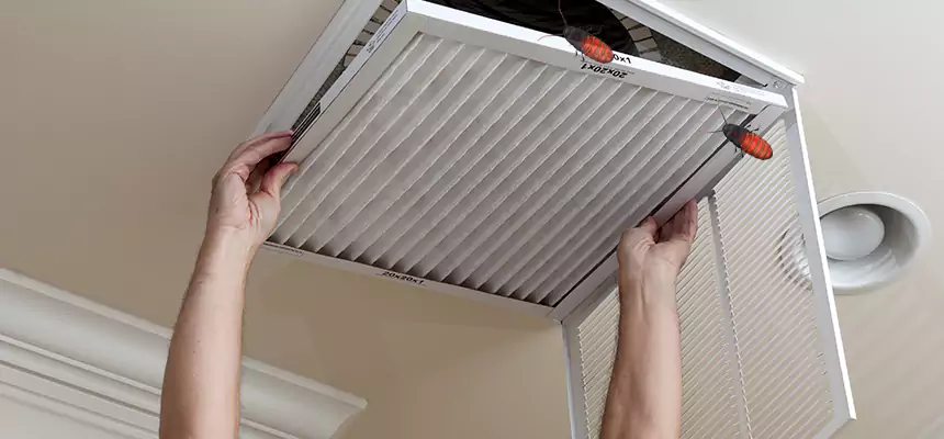 Preventive Cockroach-Proofing for Ducts in High Point