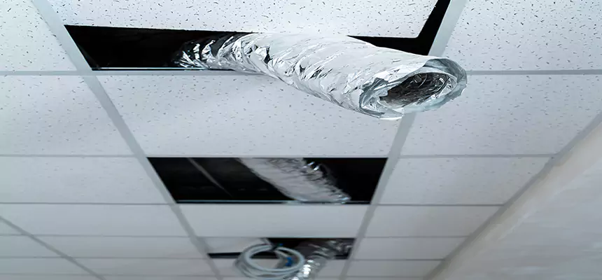 Our Air Duct Pet Hair Removal Services in High Point, NC