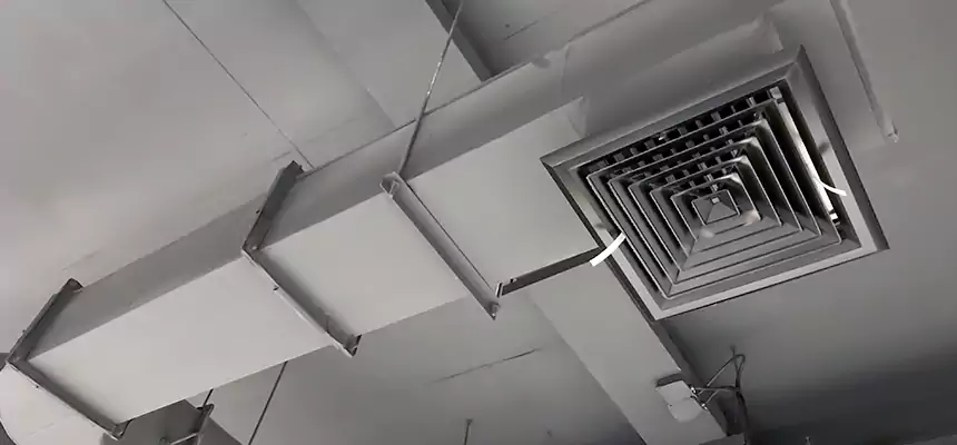 Our Pest Removal From Ducts Services in High Point, NC