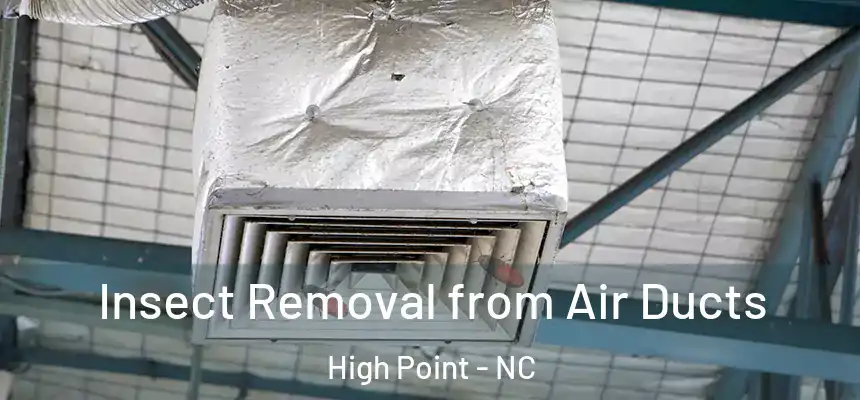  Insect Removal from Air Ducts High Point - NC