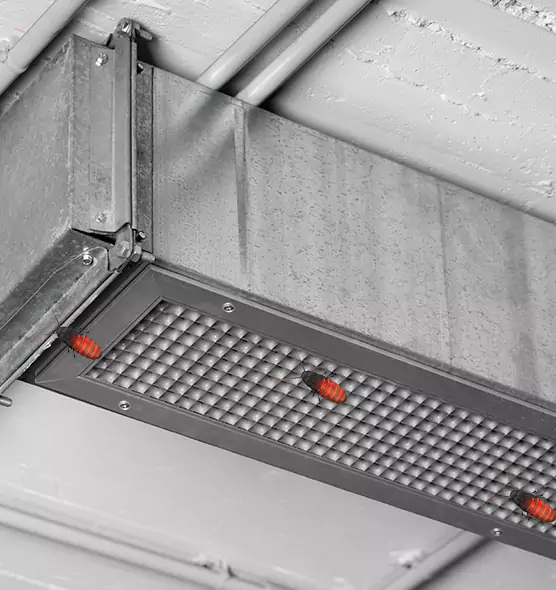 Affordable Insect Removal from Air Ducts in High Point, NC